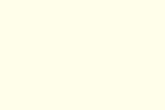 8050- Super White GL