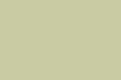 8055- Ash Grey
