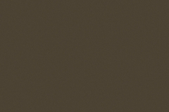 8078- Beige Metallic
