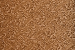 Fern-422