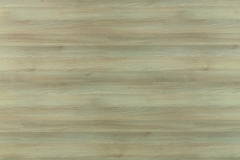 3025 - Moldau Acacia Light