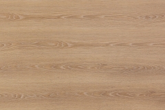 3055-Golden-Oak-WT