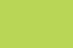 1119-Parrot Green