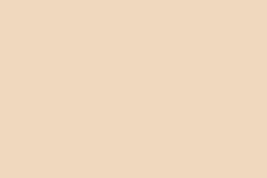 1120-Irish Cream