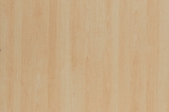 3023-Alberta Maple