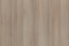 3025-Moldau Acacia, (Ught)