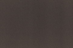 3404