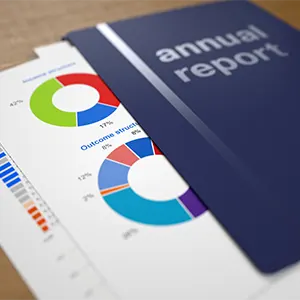 Annual Returns