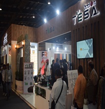 Exhibitions 2019